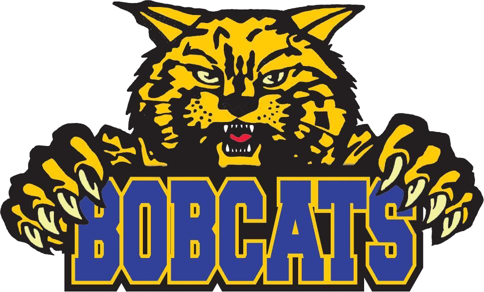 District Logo